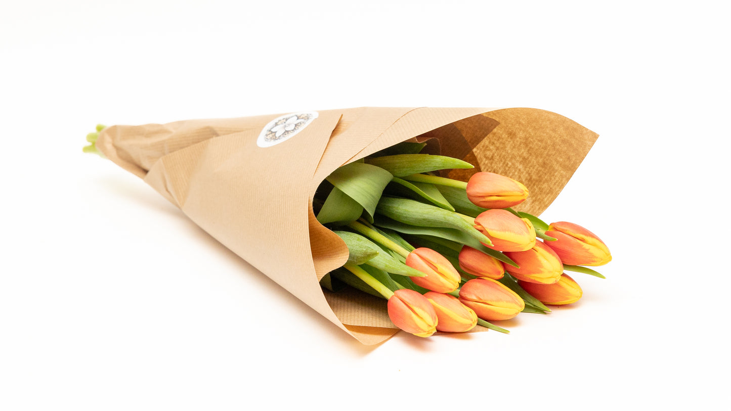 10 Tulips Bouquet